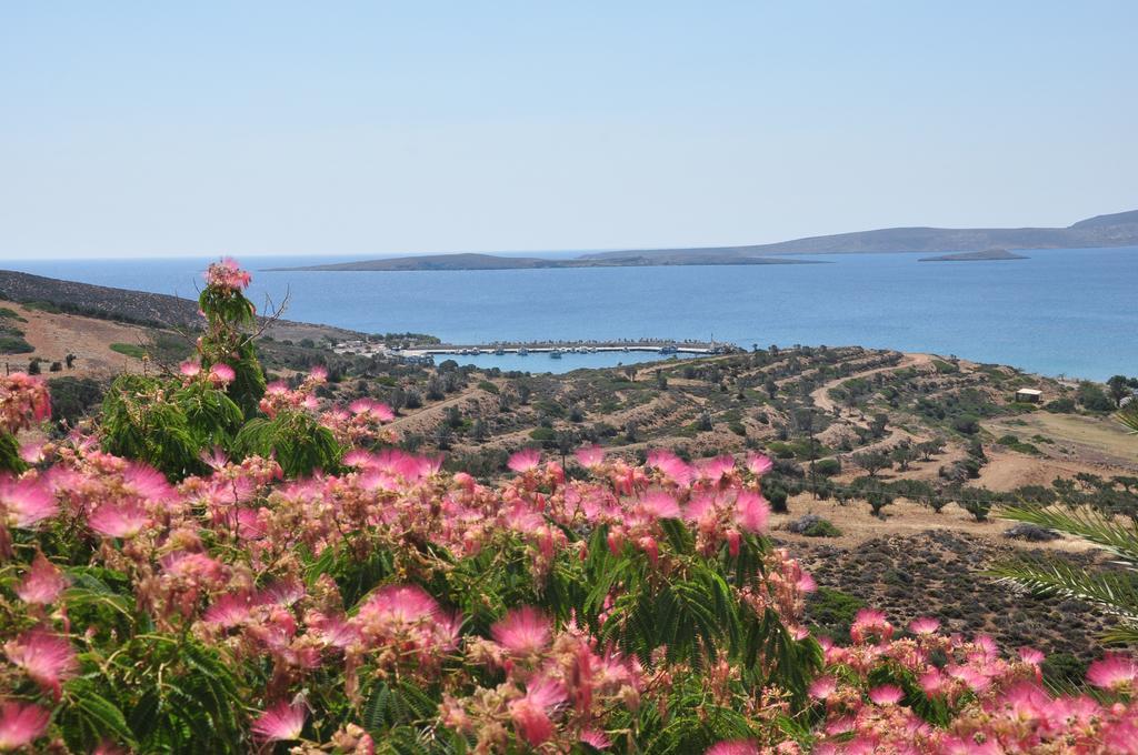 Castri Village Hotel パレカストロ エクステリア 写真
